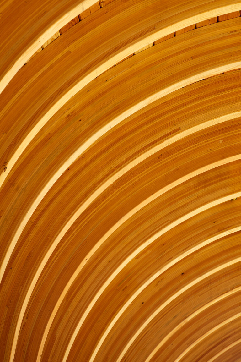 Detain view of curved wood ribs with echo the ribs of a canoe.
