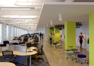 This office is a beehive of activity without all the bee clichés