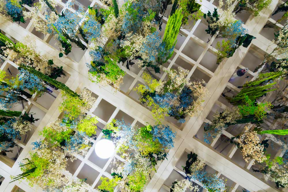 View of the biophilic design on the ceiling filled with real vegetation hanging through a grid structure in the ceiling