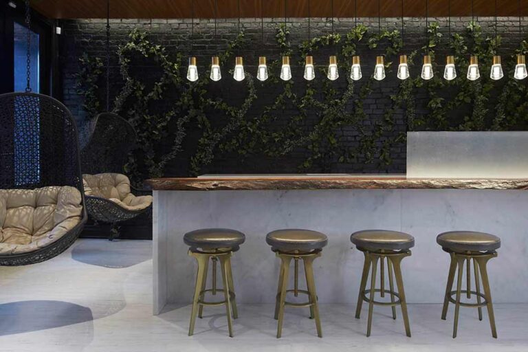 Bar with industrial style stools, greenery on the wall behind the bar and hanging wicker chairs beside, reinforcing the outdoor feel