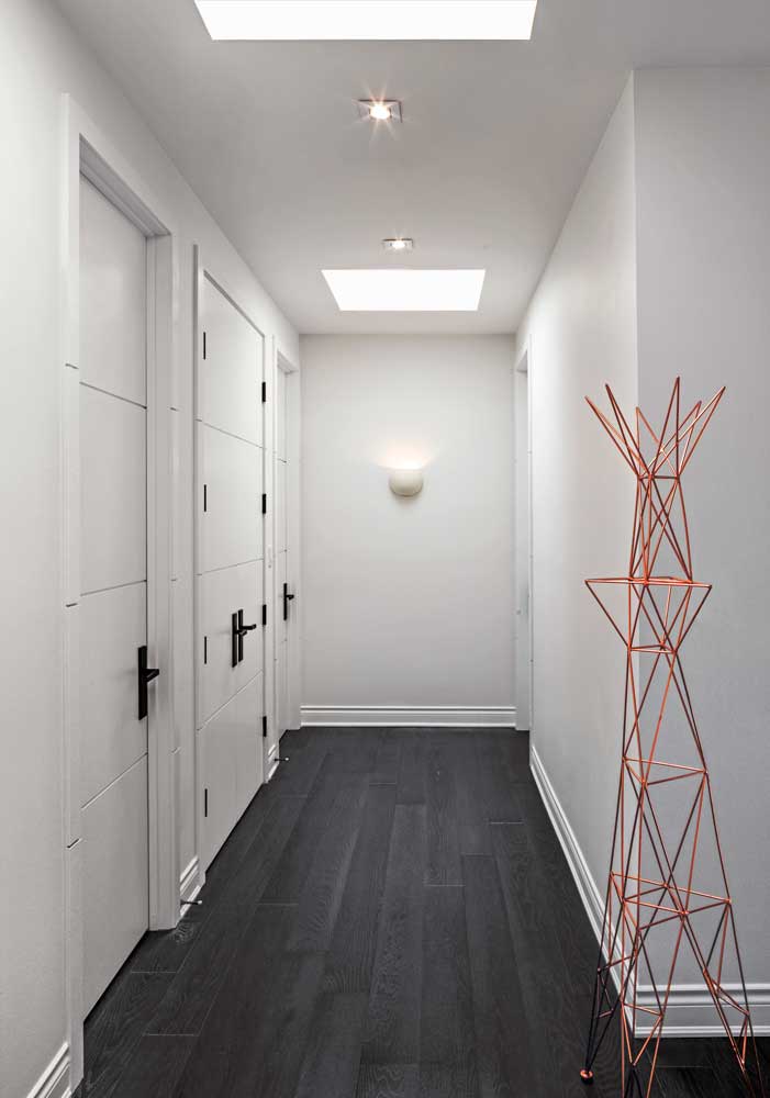 A white Hallway showcasing dark flooring and hardware, and gold coat hanger as an accent