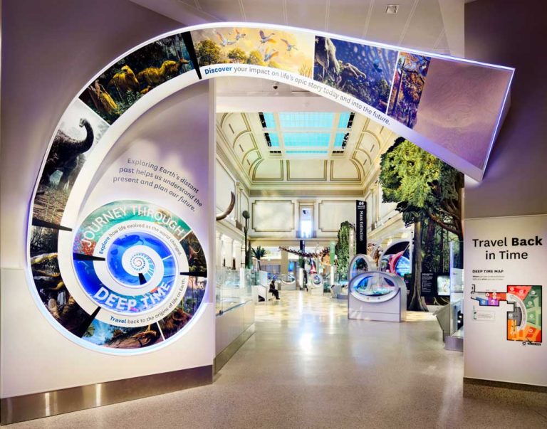 The entrance to the exhibit with the winding graphic panel illustrating the journey through time
