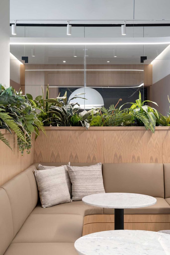 Comfortable seating and collaboration area in wood and beige tones and biophilia