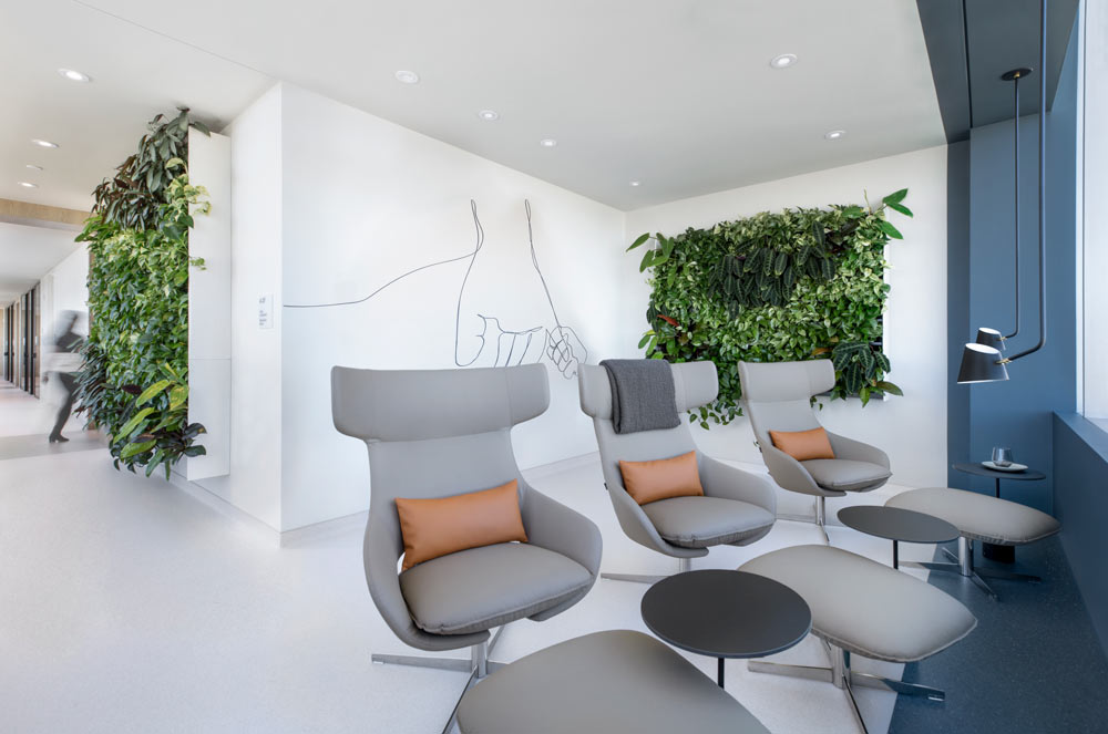 Waiting area at The Institute for Specialized Medicine and Intervention with biophilic elements and calm neutral colour palette