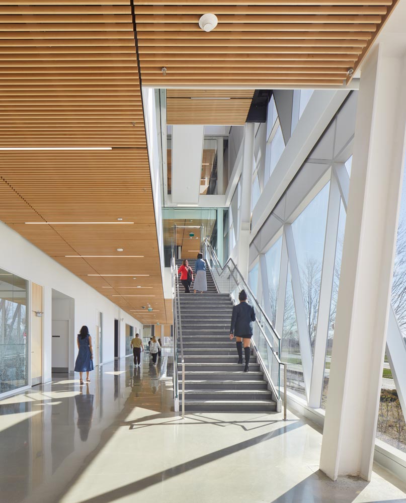 A view up the stairs with wooden slat ceiling detail runs along the first and second level ceilings, while the geometric shaped window openings one side of the entire building bring in light and views