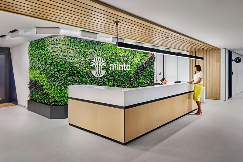 Minto Group Inc. reception desk with a huge living plant wall behind it and wooden detailing throughout