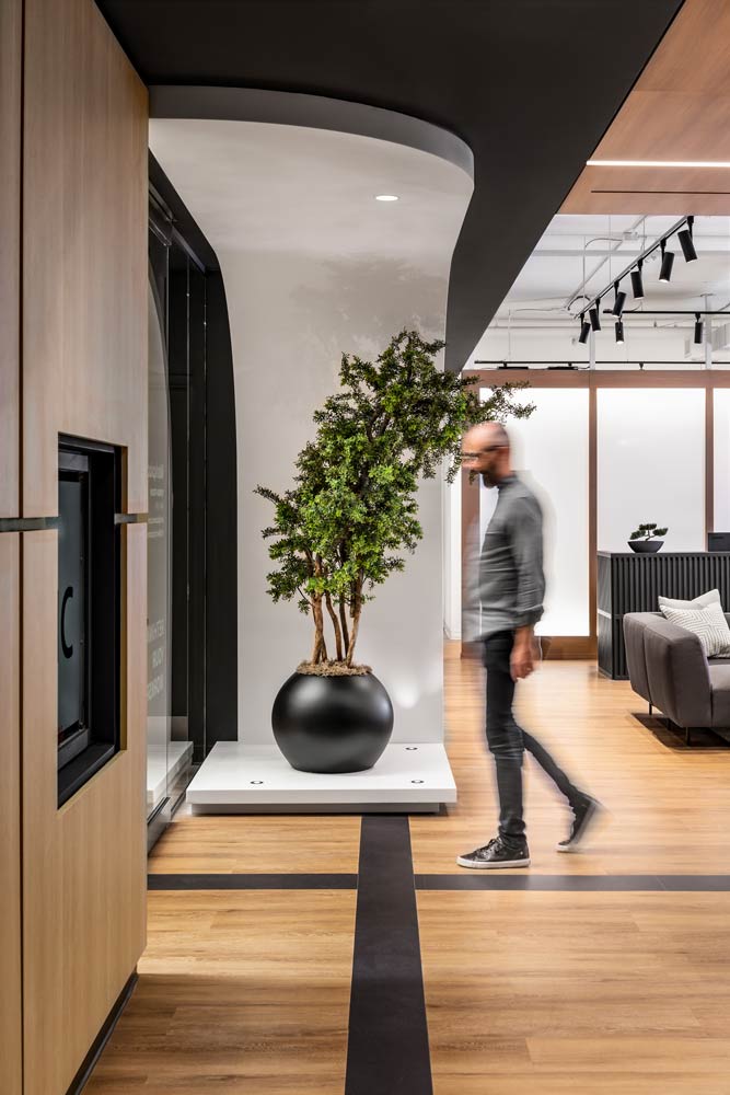 Single large bonsai tree in a hallway area in a simple black planter against a white wall.