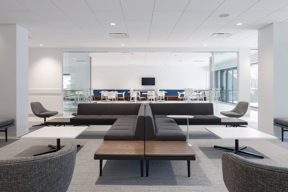Lounge and lunchroom in a monochromatic colour scheme, with lots of lounge seating, sofas and chairs in the forground and lunchroom in the background