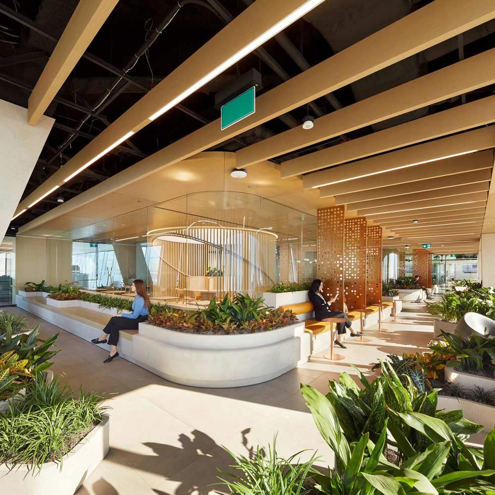 Hallways full of greenery and natural light, which are going all the way around the enclosed work stations behind glass walls. On the ceiling there are wooden beams running across with linera built in lighting