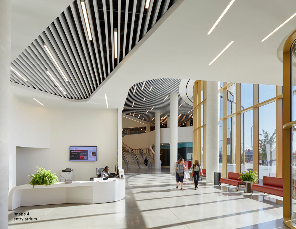 Entry Atrium with very tall ceilings and large floor to ceiling windows on the right, across from the reception desk. The space features many curvy elements and linear detail on the ceiling pointing toward the main staircase