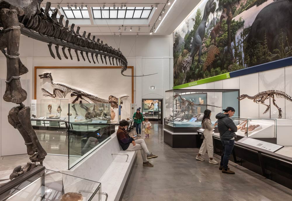 A space where dinosaur fossils and skeletons are displayed around the wall perimeter and in the centre. People watching and one person sitting on the bench