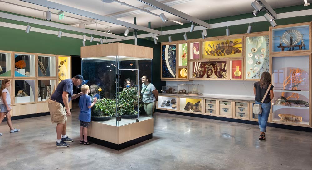 A gallery space with colourful imagery around on the walls encased in wooden framed glass boxes. In the centre of the room is a tall square display glass box with greenery inside, and people standing aronud it