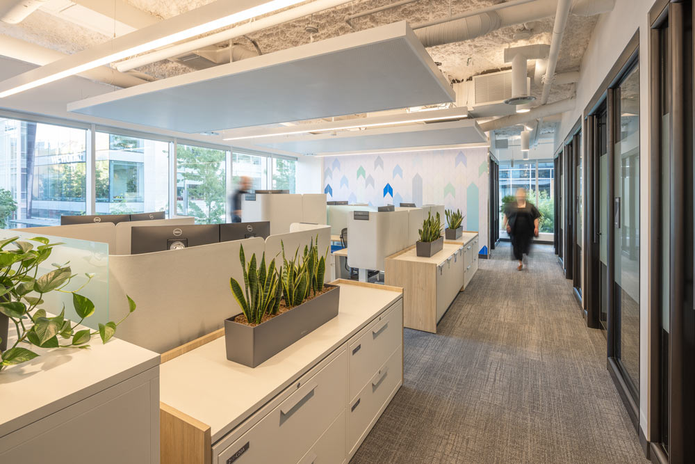 Work stations/cubicles in a bright interior with big windows and partialy exposed ceilings. Plants and biophilic elements throughout